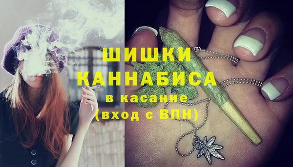 молекула духа Аркадак