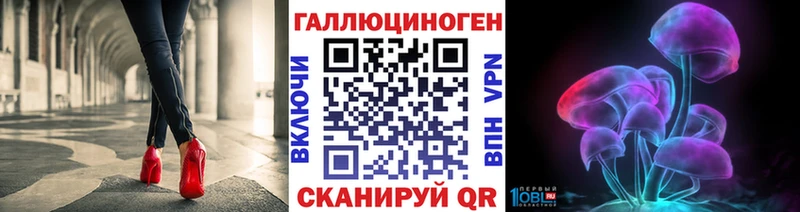 купить наркотик  Ахтубинск  Псилоцибиновые грибы Magic Shrooms 